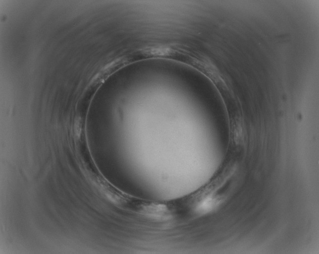 X0000081440374200701121212