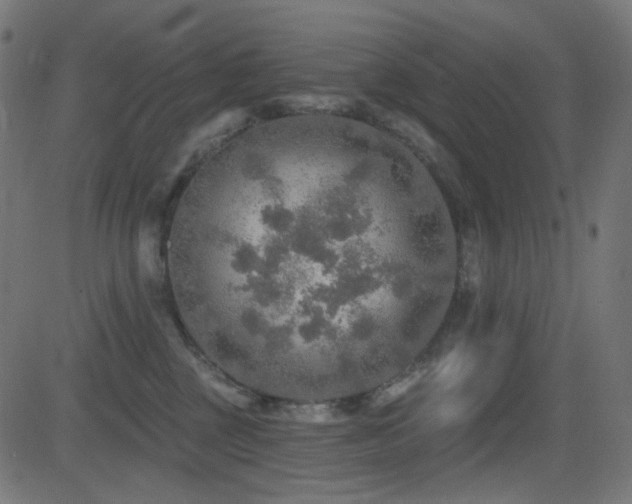 X0000081440377200701121212