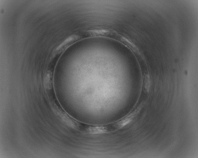 X0000081440378200701121212