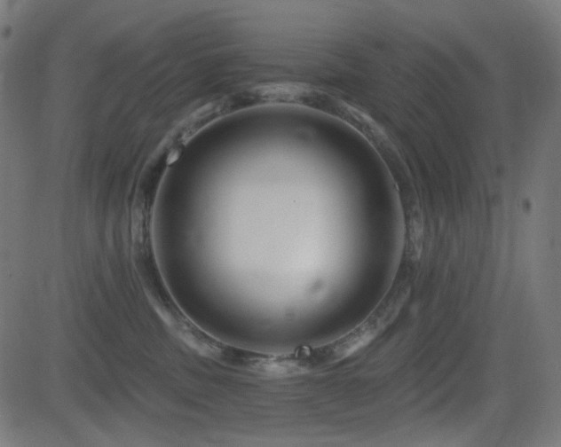 X0000081440379200701121212