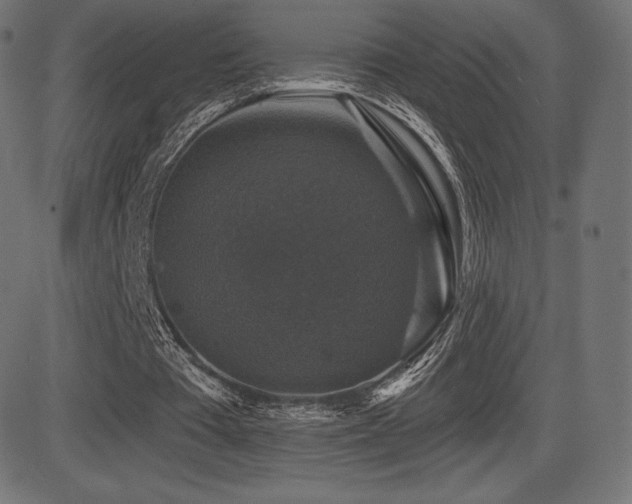 X0000081440385200701121211