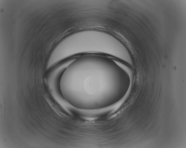 X0000081440405200701121211