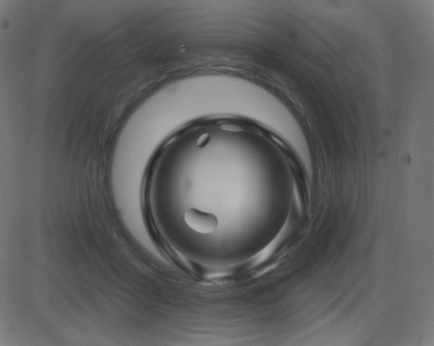 X0000081440411200701121211