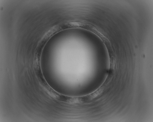 X0000081440418200701121211