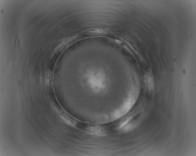X0000081440423200701121211