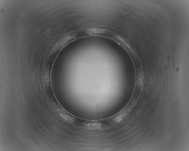 X0000081440426200701121211
