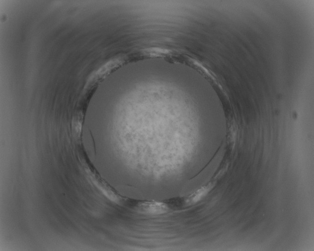 X0000081440427200701121211