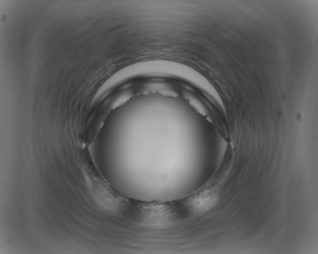 X0000081440428200701121211