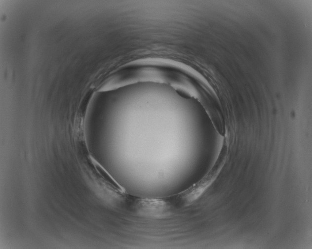 X0000081440429200701121211