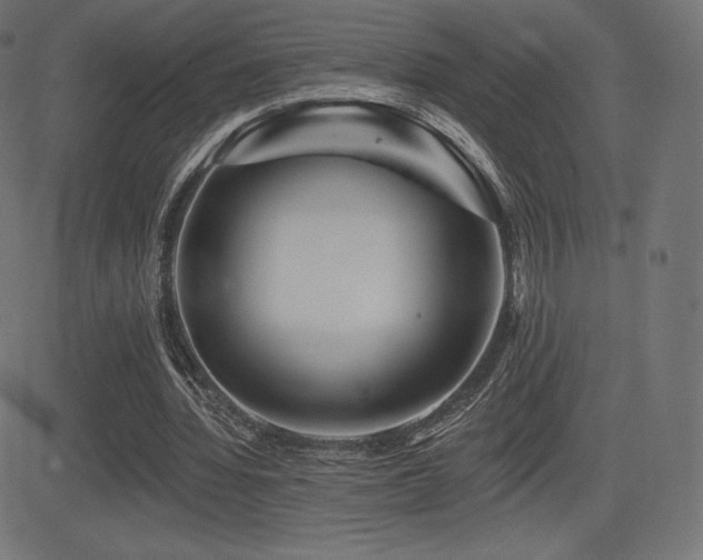 X0000081440436200701121210