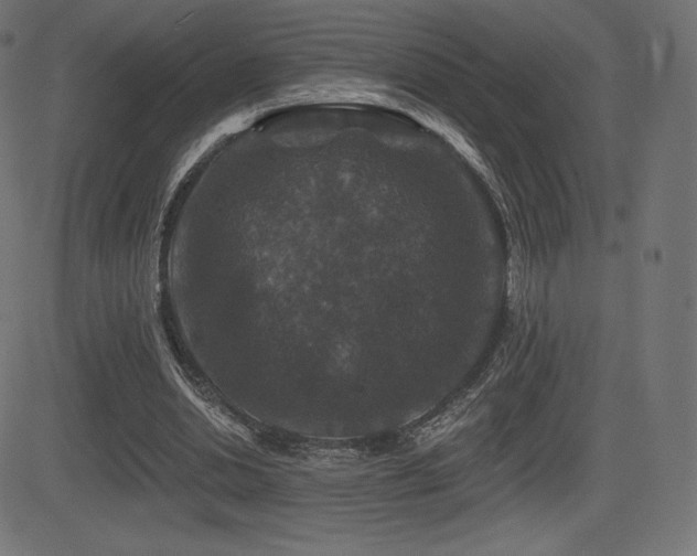 X0000081440438200701121210
