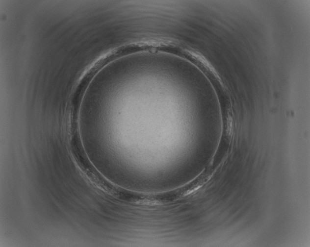 X0000081440444200701121210