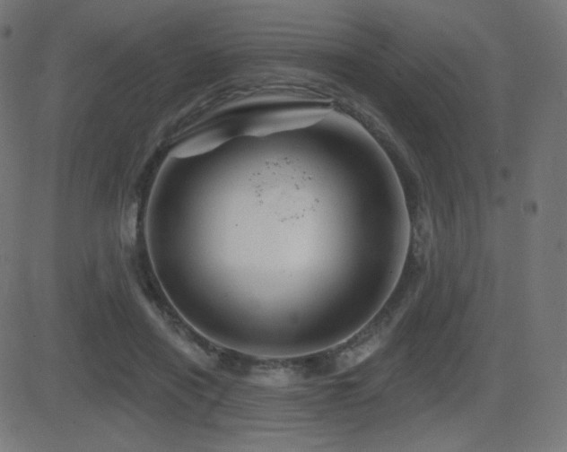X0000081440454200701121210