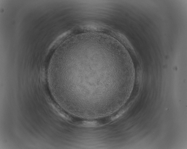 X0000081440457200701121210