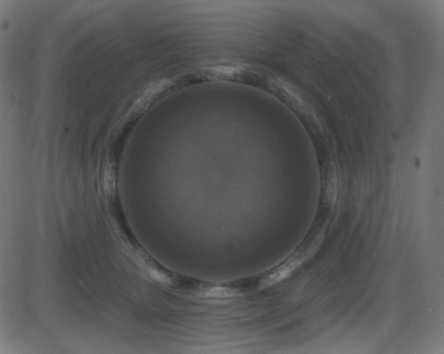 X0000081440467200701121210