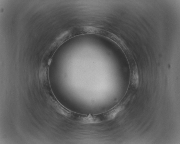 X0000081440473200701121210