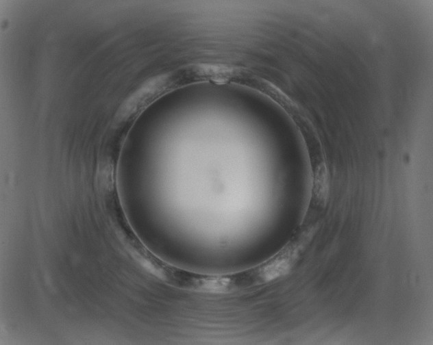 X0000081440474200701121210