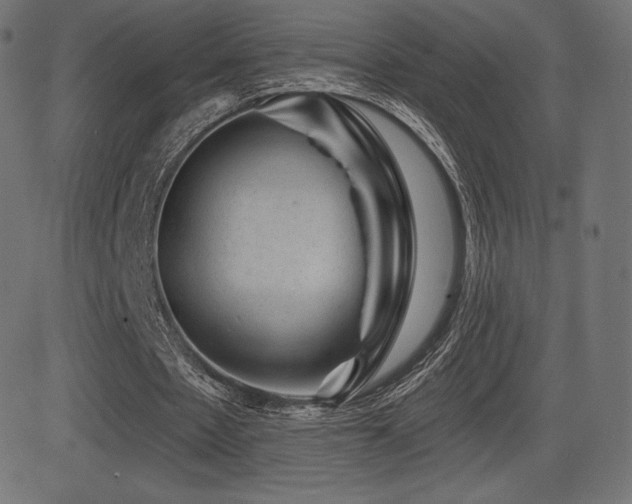 X0000081440481200701121210