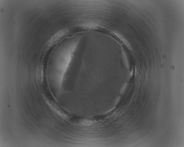 X0000081440494200701121210