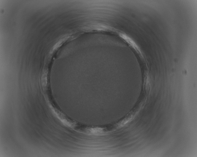 X0000081440501200701121209