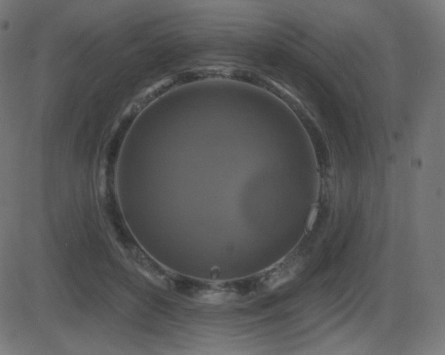 X0000081440504200701121209
