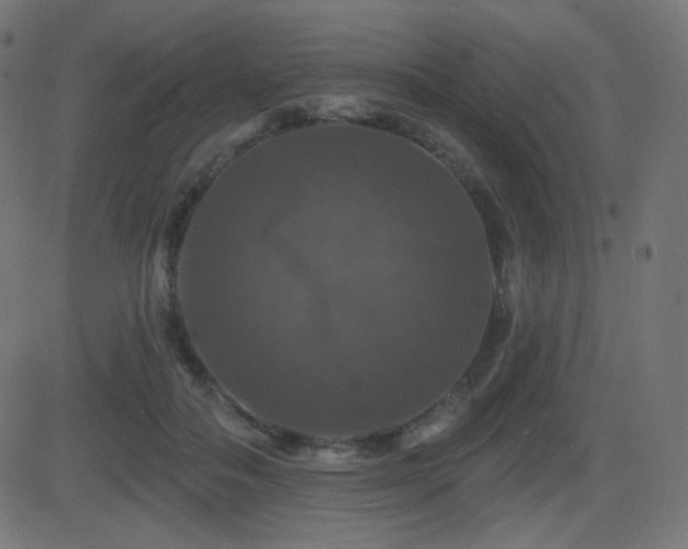 X0000081440506200701121209
