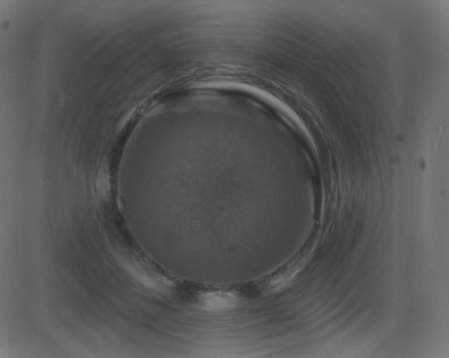 X0000081440508200701121209