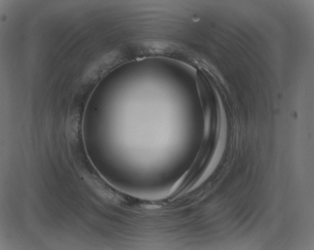 X0000081440509200701121209