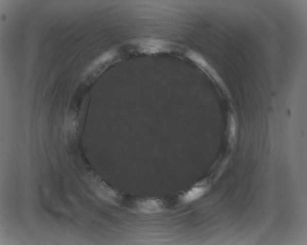 X0000081440513200701121209
