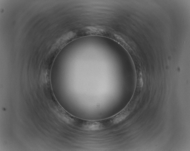 X0000081440514200701121209