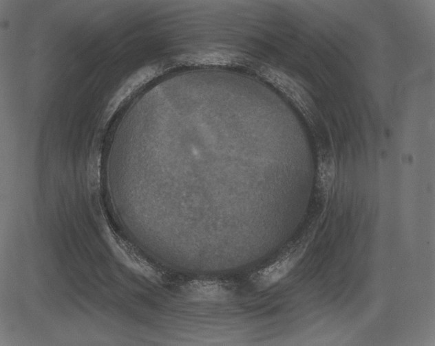 X0000081440534200701121208