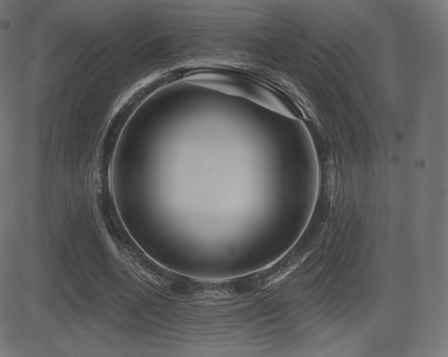 X0000081440536200701121208