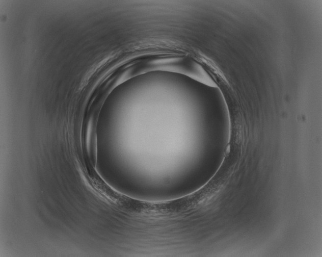 X0000081440538200701121208