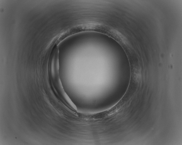 X0000081440543200701121208