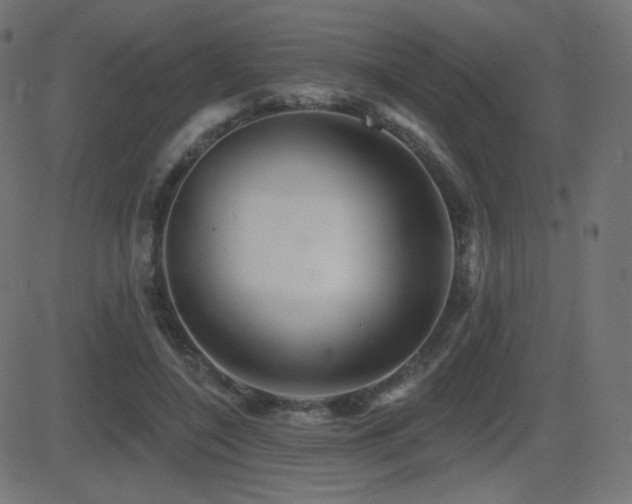 X0000081440548200701121208