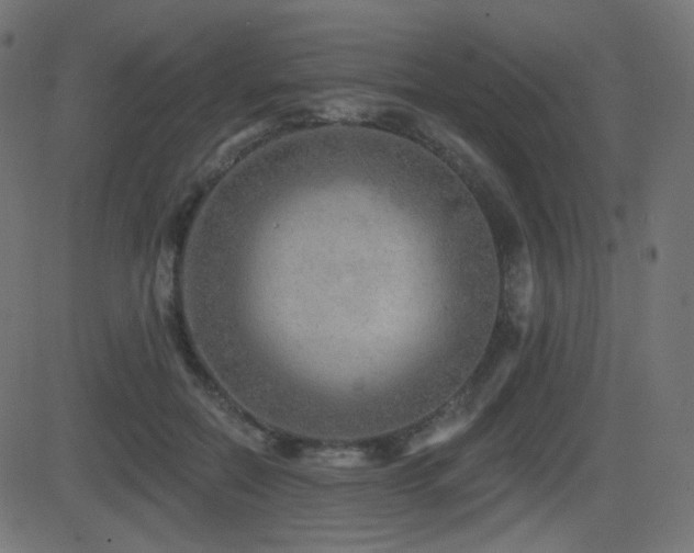 X0000081440554200701121209