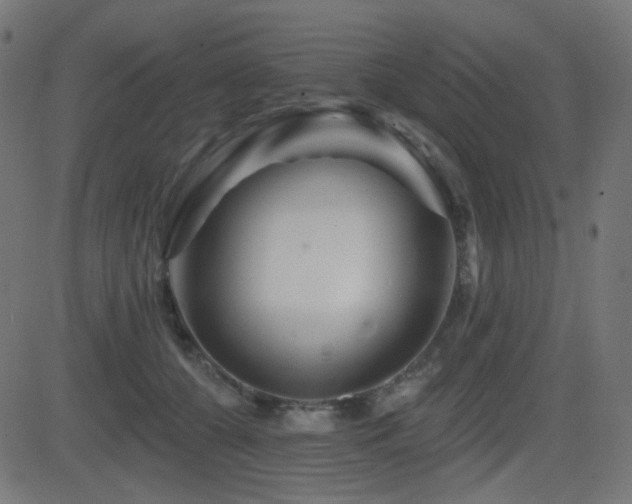 X0000081440560200701121209