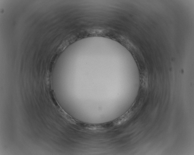 X0000081440561200701121209