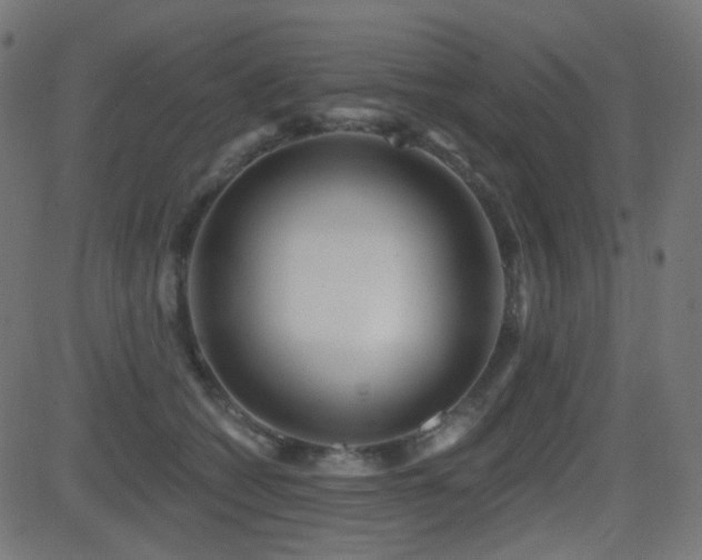 X0000081440562200701121209
