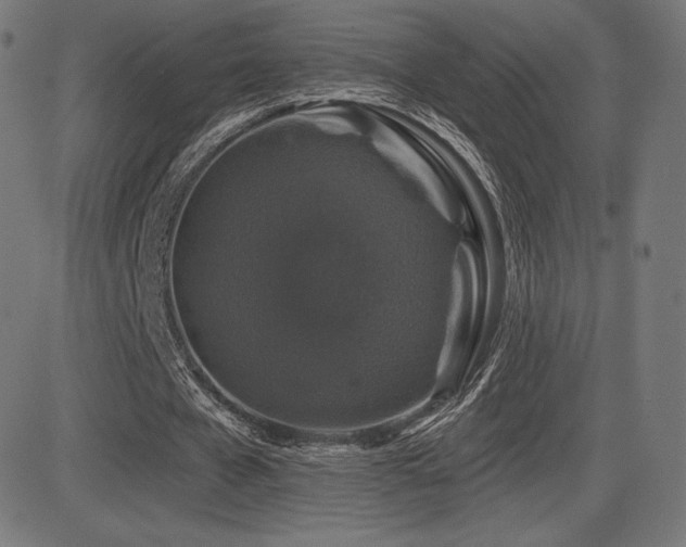 X0000081440577200701121208