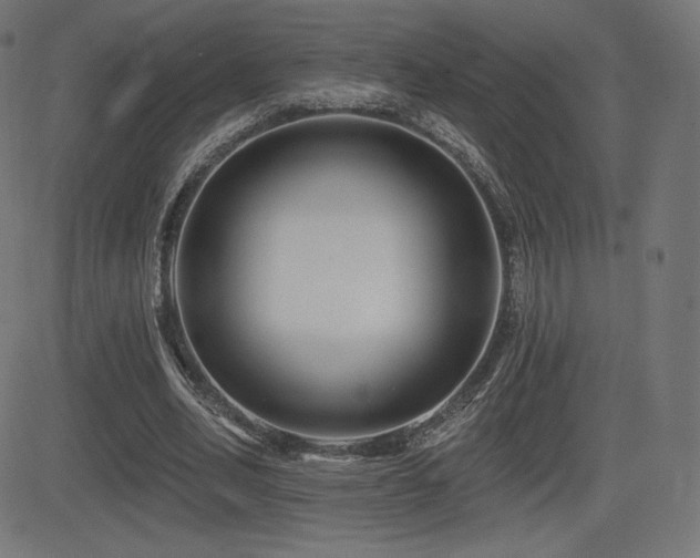 X0000081440582200701121208