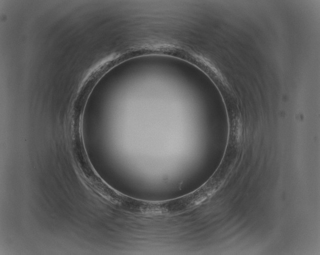 X0000081440587200701121208