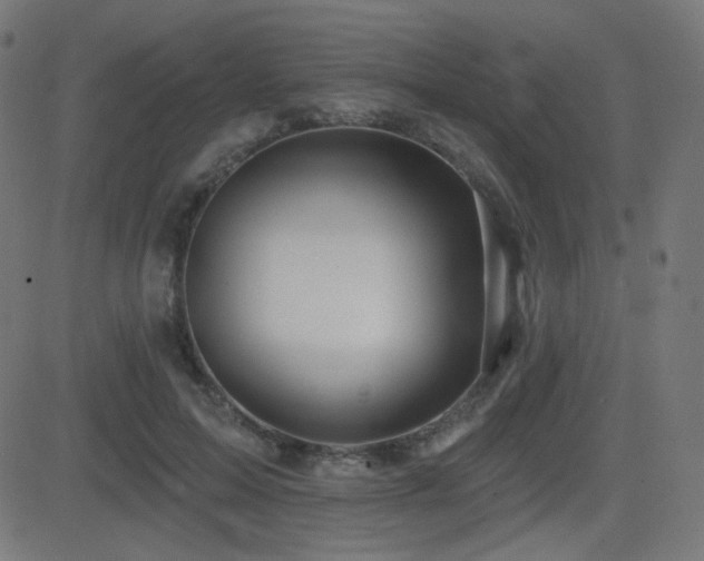 X0000081440599200701121208