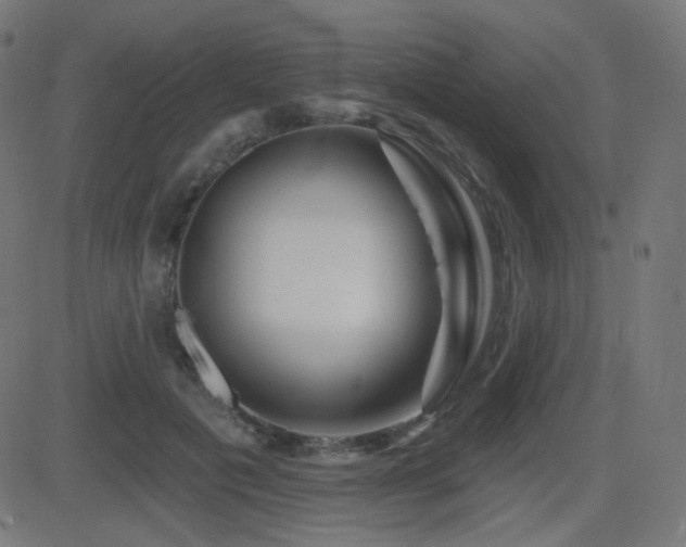 X0000081440601200701121208