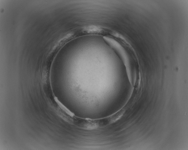 X0000081440604200701121208