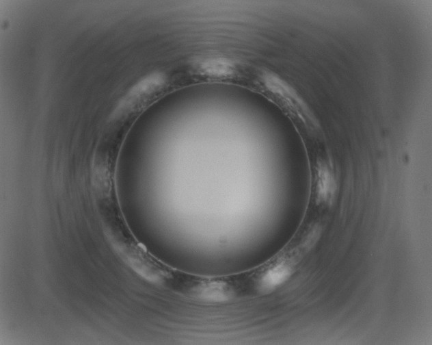 X0000081440609200701121208