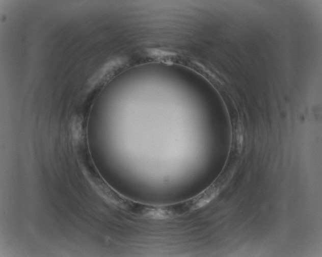 X0000081440611200701121208