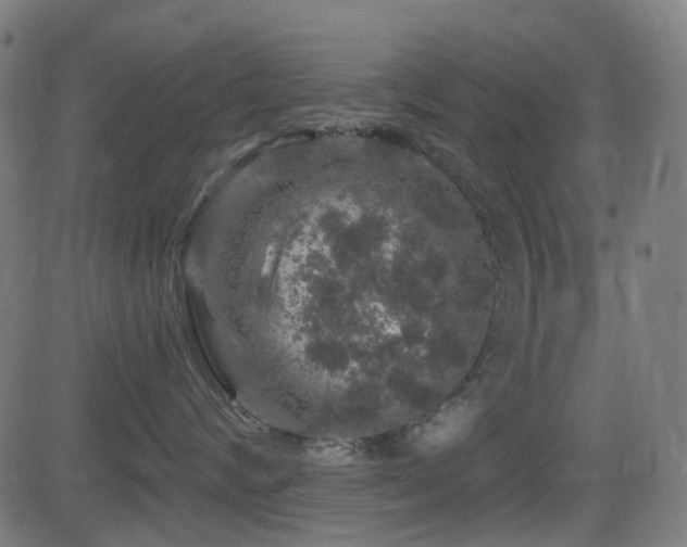 X0000081440624200701121207