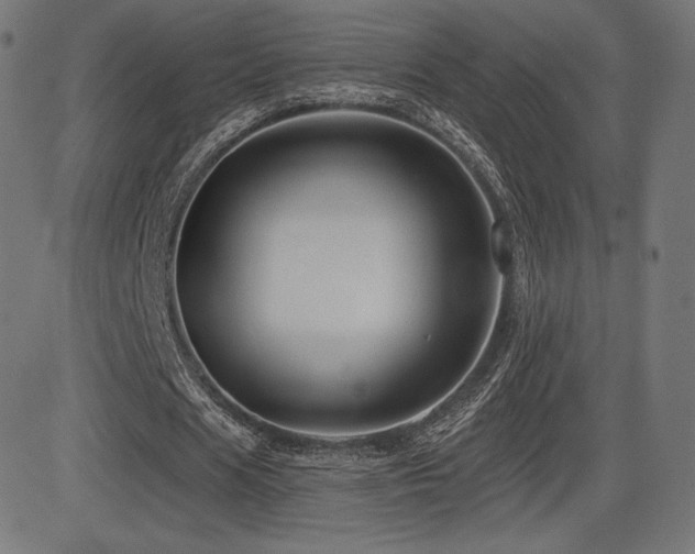 X0000081440625200701121207