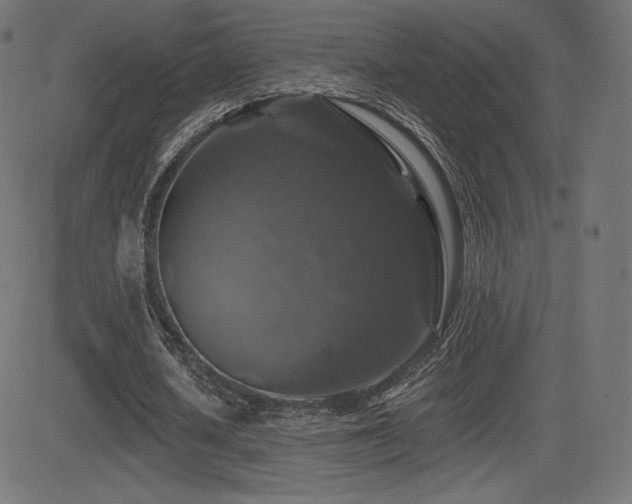 X0000081440626200701121207